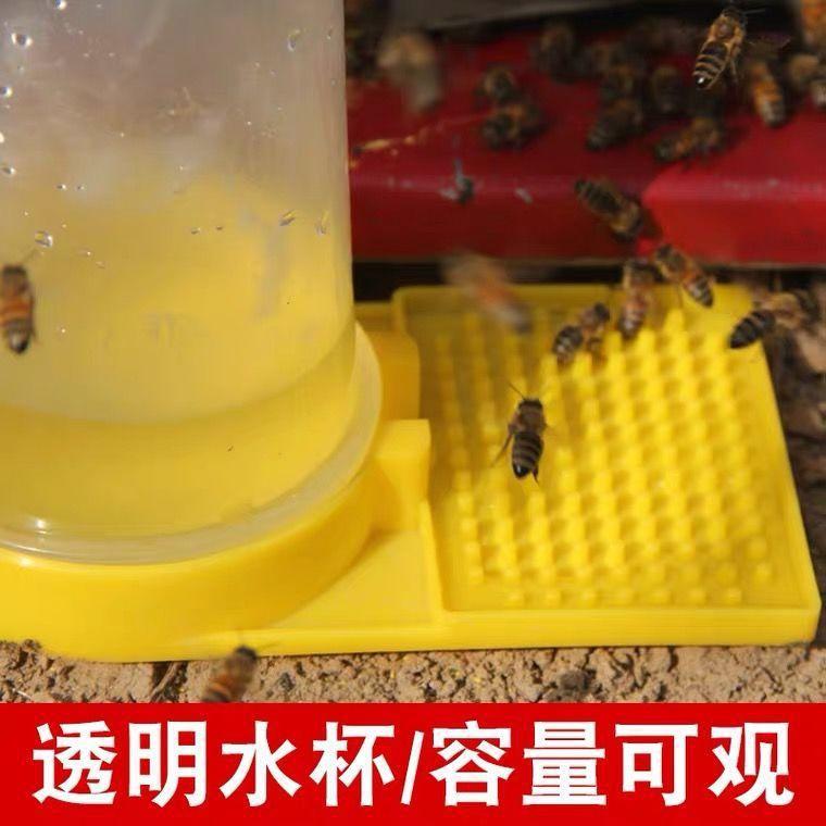 Clear Visible 500ml Bee Feeder Honey Bee Feeders Drinking Water Waterer Watering Bees Tools Supplies Feeding Plastic Bee Drinker Tool