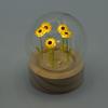 Floral Glow Garden Dome – 5 Sunflowers – LED Battery