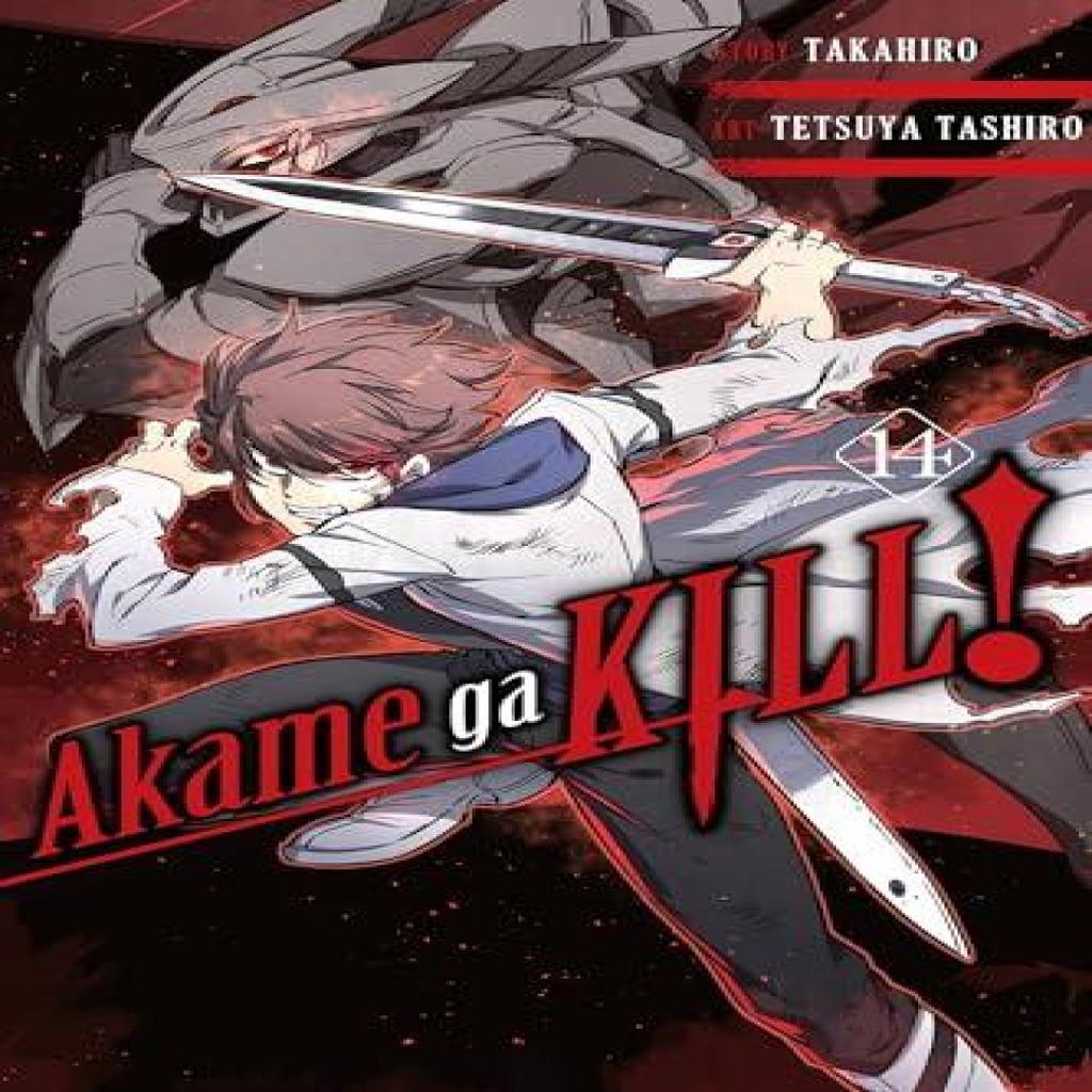 Akame ga KILL Vol. 14 by Tetsuya Tashiro Paperback Book 9781975300418