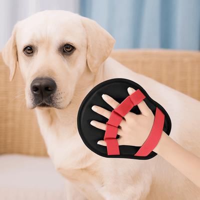 Köpek – Köpek bakım ürünleri