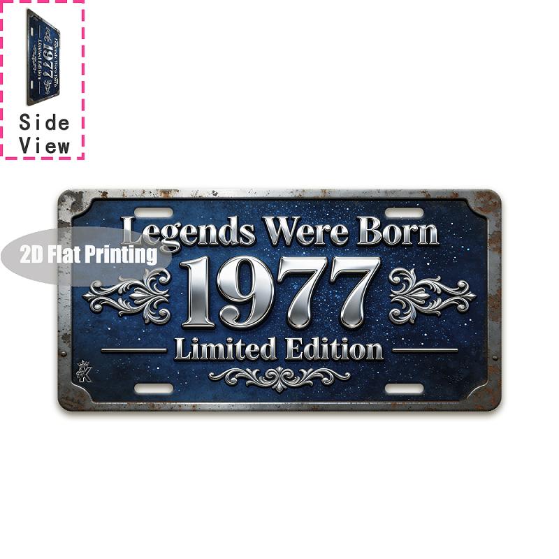 Tin Sign - Vintage Durable Metal Plaque Wall Decor, Home Office Bar Man Cave Turin City Birth Year License Plate Wall Art