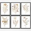 Gubrandin 6PCS Vintage Botanical Wildflower Art Wall Art Prints Artwork Paintings for Home Farmhouse Office Bathroom Kitchen Bedroom Wall Decor (8x10