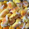 Mini Steamed Bread  Squeeze Toy Realistic Soft Slow Rising Stress Relief Toy For Office Desk Relaxation