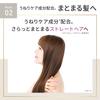 LUX Super Rich Shine Straight Beauty Frizz Care Treatment