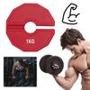 2pcs Bumper Plates Non-Slip Gym Micro Plates 0.25/0.5KG Dumbbell Fractional Weight Plates Add-on Change Weight Plate