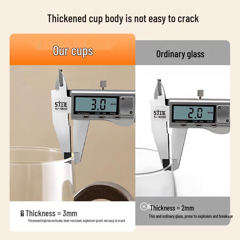 Sidomi Glass Tea Mug with Handle and Infuser