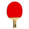 Double Fish 9-Star Professional Table Tennis Racket