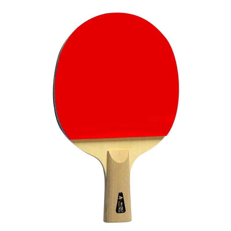 Double Fish 9-Star Professional Table Tennis Racket