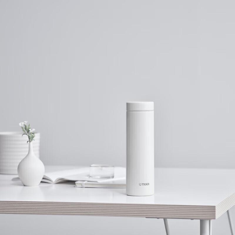 Ultralight Portable Insulated Water Bottle