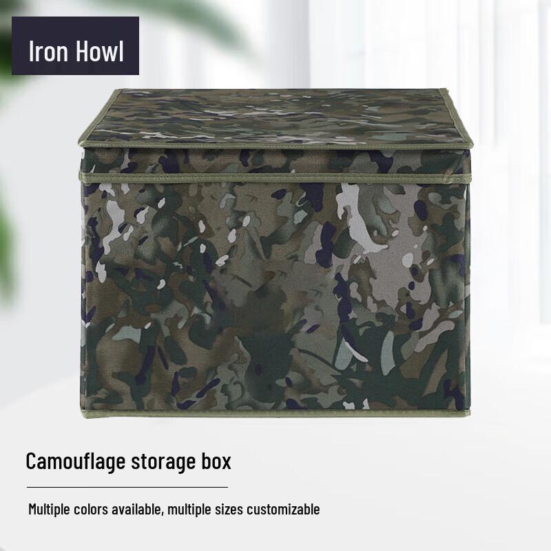 

Patterned Folding Storage Box