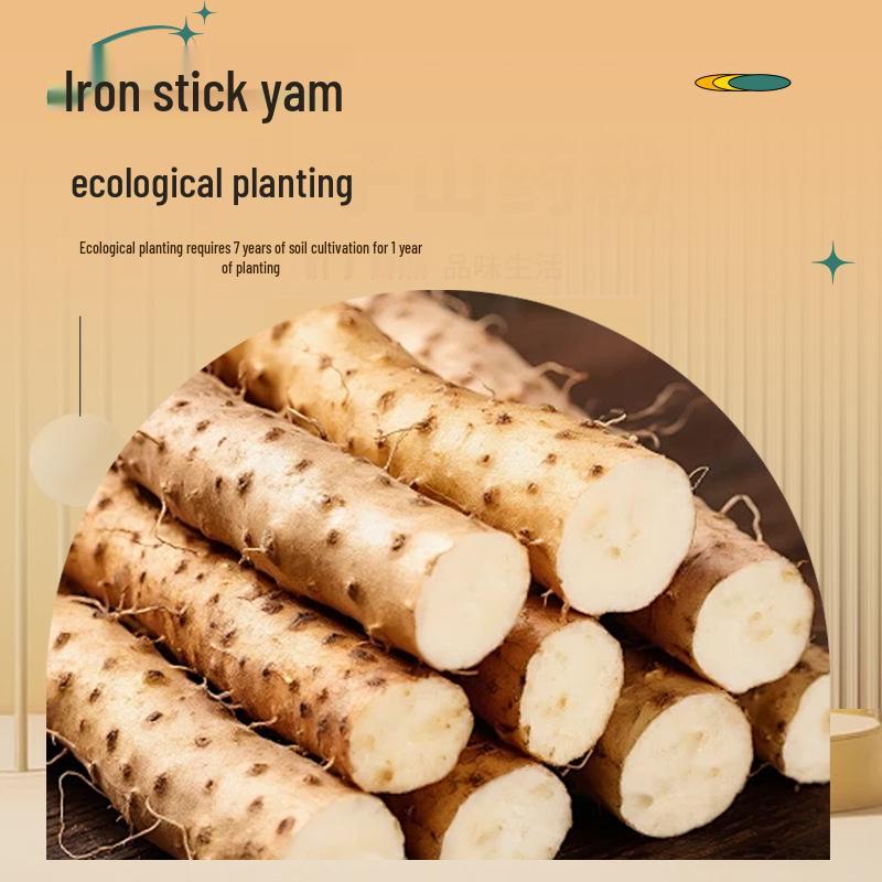 Miscela di Polvere di Giuggiola-Loto-Giglio-Igname, 245g (7 Confezioni Pasto per la Colazione)