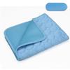 Summer Cooling Mat for Dogs & Cats Breathable Ice Silk Pet Pad Hot Weather Chilling Cushion