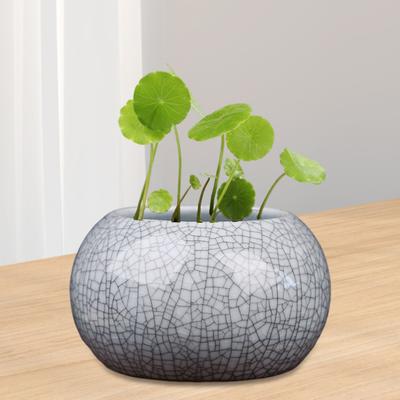 Ceramic Bowl Lotus Planter Round Mini Flowerpot Glazed Bonsai Bowl Lotus
