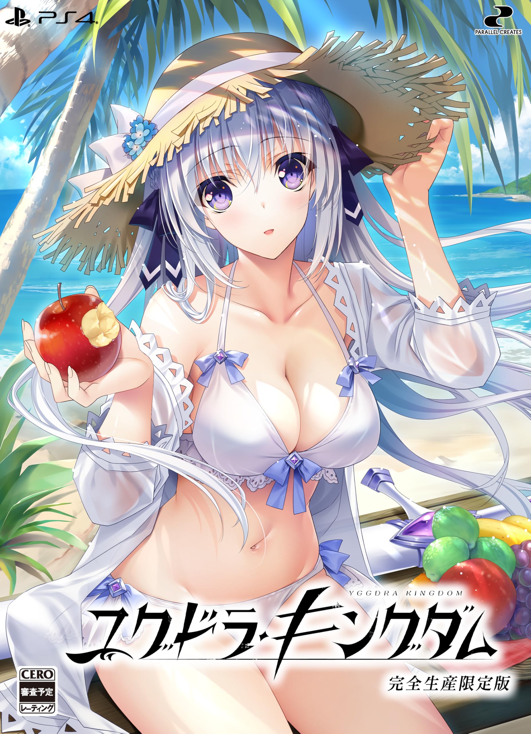 Yggdra Kingdom Limited Edition PS4 Goods Set Includes Original Acrylic Plate Bonus Original Digital Wallpaper B2 Setting Materials Collection - & &