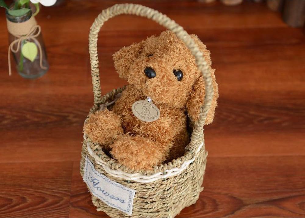 Big-eyed Toy Poodle Plush Toy (Toy Poodle A, 18cm)