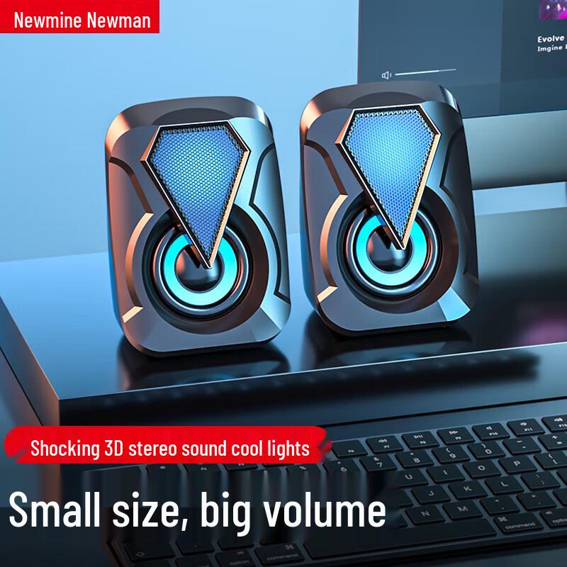Newman Wired Desktop Computer Speakers