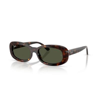 RB2221F-90231-55 Sun-blocking Sunglasses
