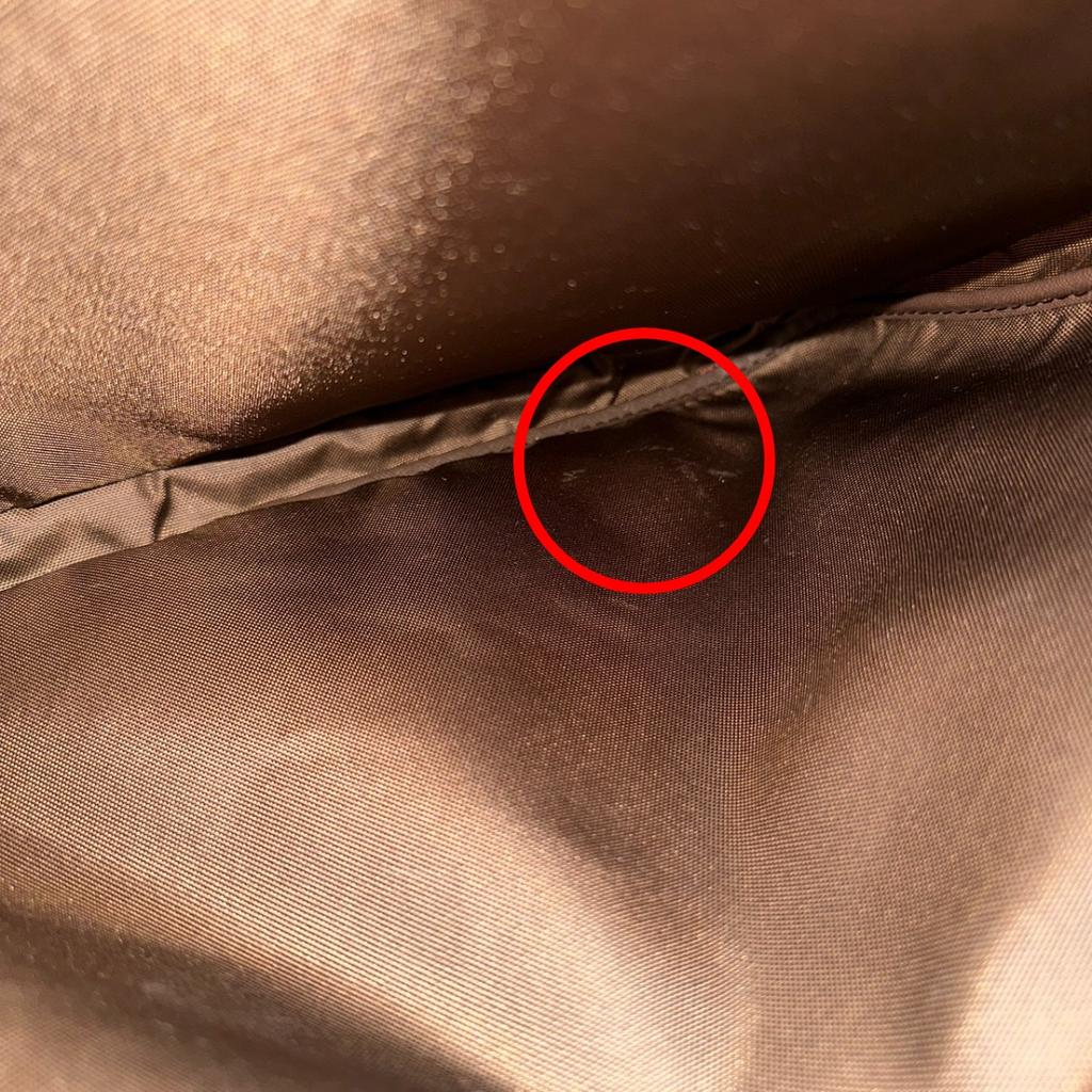 LOUIS VUITTON Monogram Pegas 45 suitcase Monogram canvas Brown unisex M23294 Used