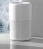 Custom Air Purifier for Home & Car: Formaldehyde Removal & Negative Ion Technology