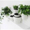 Sungmor Self Watering Wall Planter - Modern White & 3PC Pack & Mixed Size - Indoor Outdoor Vertical Flower Pot - Wall Mounted Window Hanging Pot -