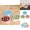 Slow Food Bowl For Pets Anti-slip And Easy To Clean