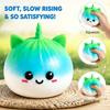 Adult Only Random Color Dim Sum Ravioli Squishy Steam Box Slow Rising Squeeze Anxiety Relief Office Desk Companion Vent Gadget