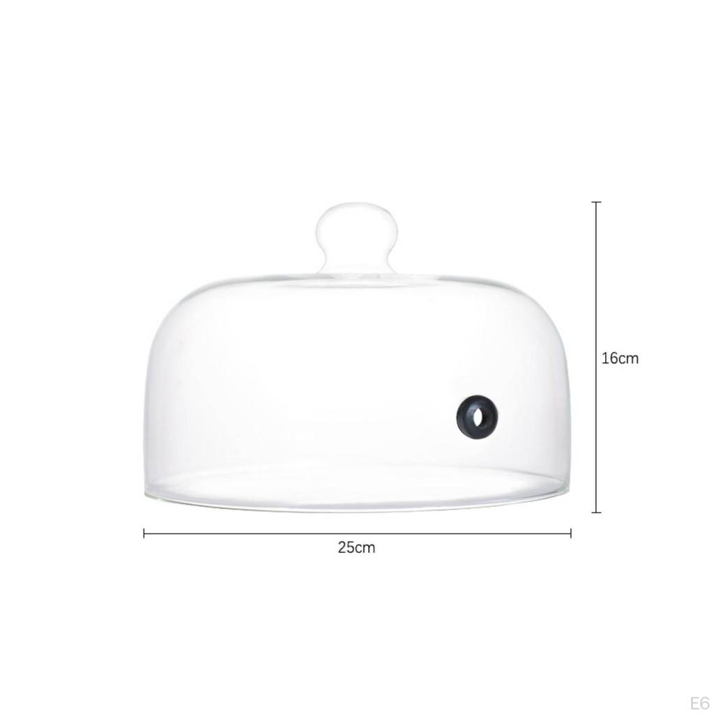 Borosilicate Glass Cloche with Hole Heat-Resistant Smoke-Infusing Dome