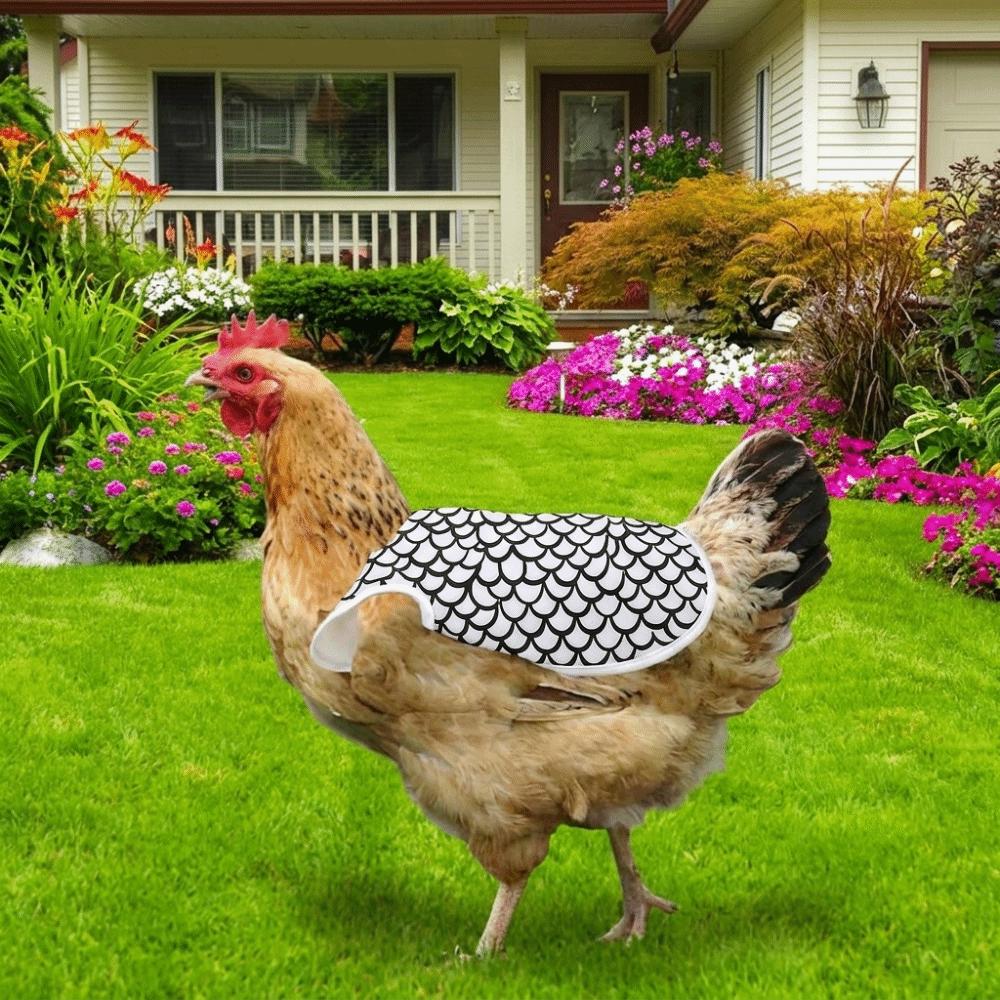 Double-Layer Chicken Saddle Adjustable Poultry Apron Washable Feather Protector  Pecking Prevention