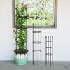 Horticultural Pitaya, Climbing Rose, Green Ivy, Climbing , Plastic-coated Steel Pipe, Flower Support Pillar, Rose Potted Plant