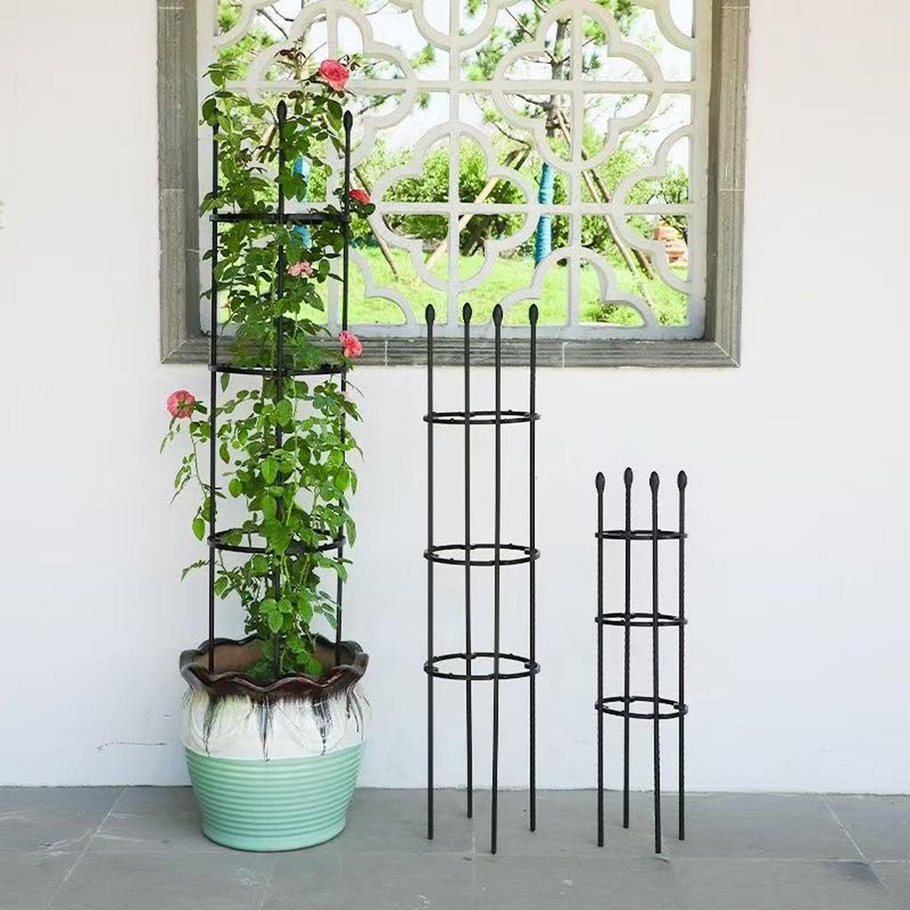 Horticultural Pitaya, Climbing Rose, Green Ivy, Climbing , Plastic-coated Steel Pipe, Flower Support Pillar, Rose Potted Plant