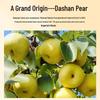 Yang Yi Jun Premium Dried Snow Pear Slices