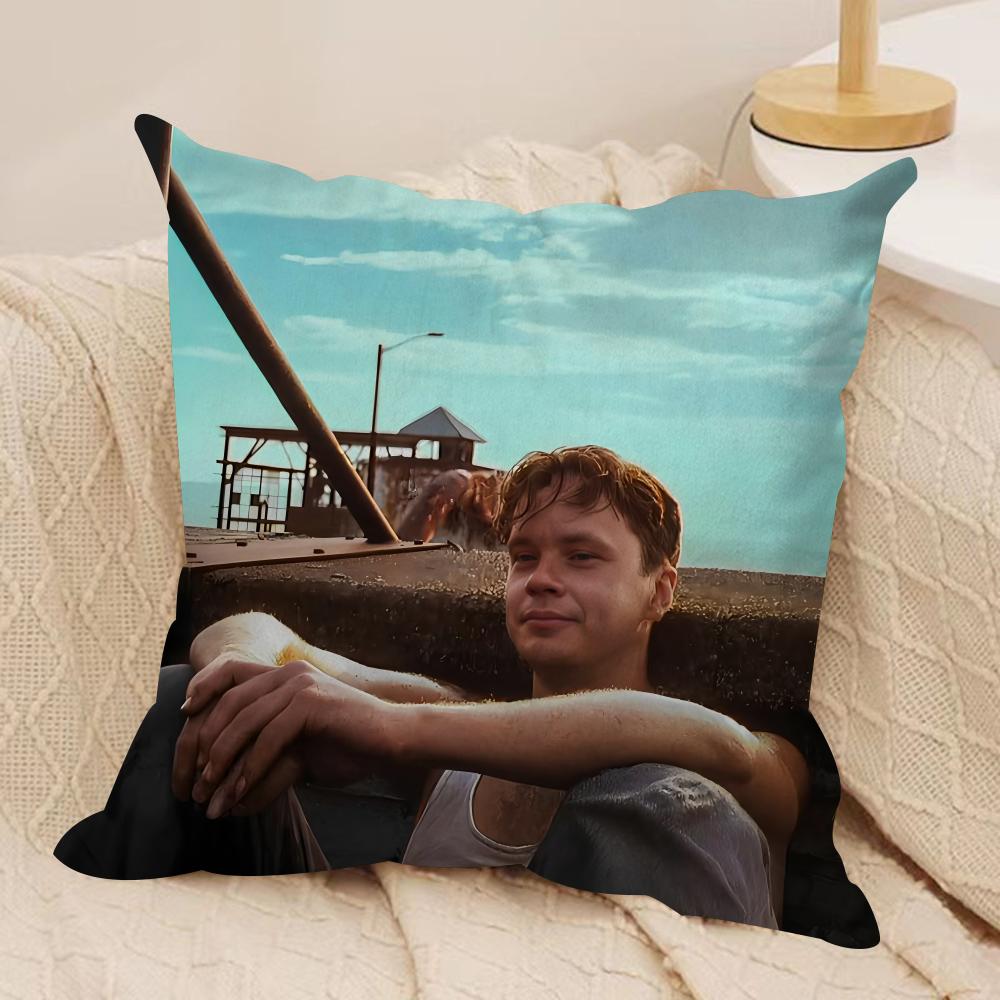 The SShawshank Redemption Cushion Cover Silky Short Plush Sofa Pillow Cover Hidden Zipper Soft Dustproof Case for Home Decor