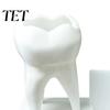 Dentist Office Supplies 3D Printed Tooth Pen Holder with Business Card Holder, 2 In 1 Personalized Gift Teeth Shape Desk Organizer, Desktop