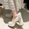 White French Retro Platform Thick Heel High Heels Women's 2025 New Spring and Autumn Skirt Heightening Mary Jane Shoes