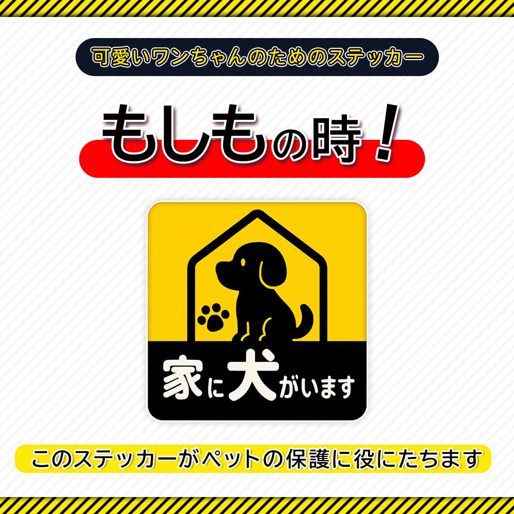 Pies w domu Naklejka magnetyczna Pies Samochód Odblaskowy Nocny blask Ochrona podczas jazdy Odstraszający Zabawny