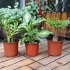 Plastic Plant POTS, Seedling Flower Plant Containers and Seed Starter POTS with Plant Labels