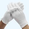 6 Pairs Soft White Cotton Gloves for Cosmetic Moisturizing Coin Jewelry Inspection Stretchable Lining Glove Size S-XL (S)