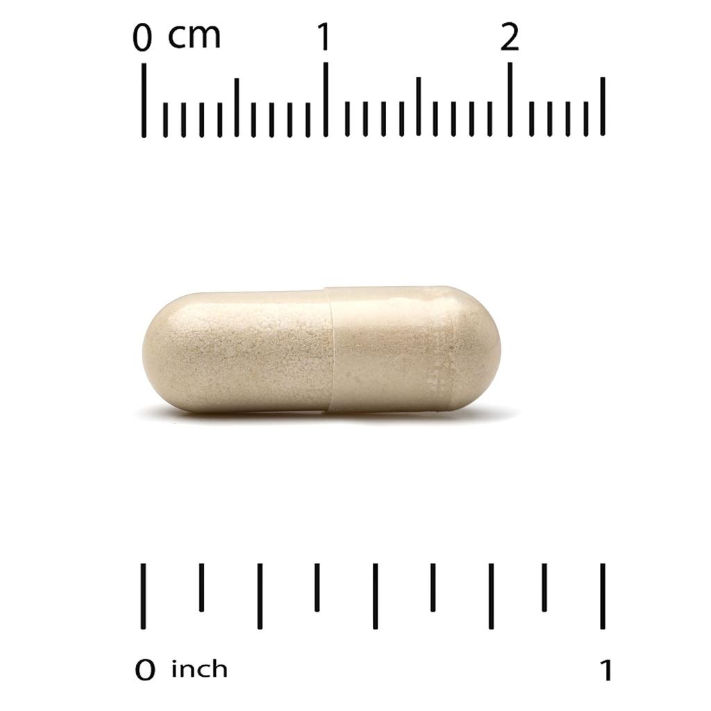 Euroherbs®, Ginkgo Biloba Extract, Euromed Quality, 120Mg, 180 Veggie Caps