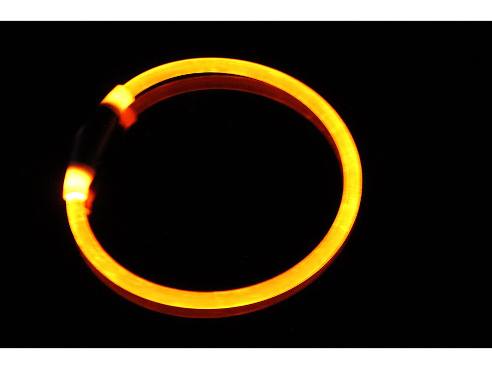 Helle Transparente PU Leuchtendes Hundehalsband für die Nacht