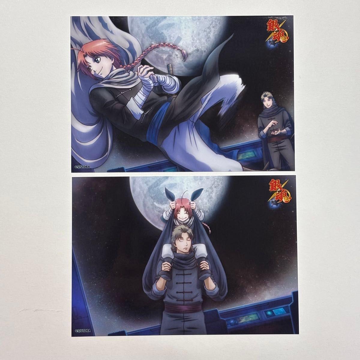 Used Gintama Kamui Abu Usagi Aniplex Bromide ANIPLEX Jump Festa Jan Fes