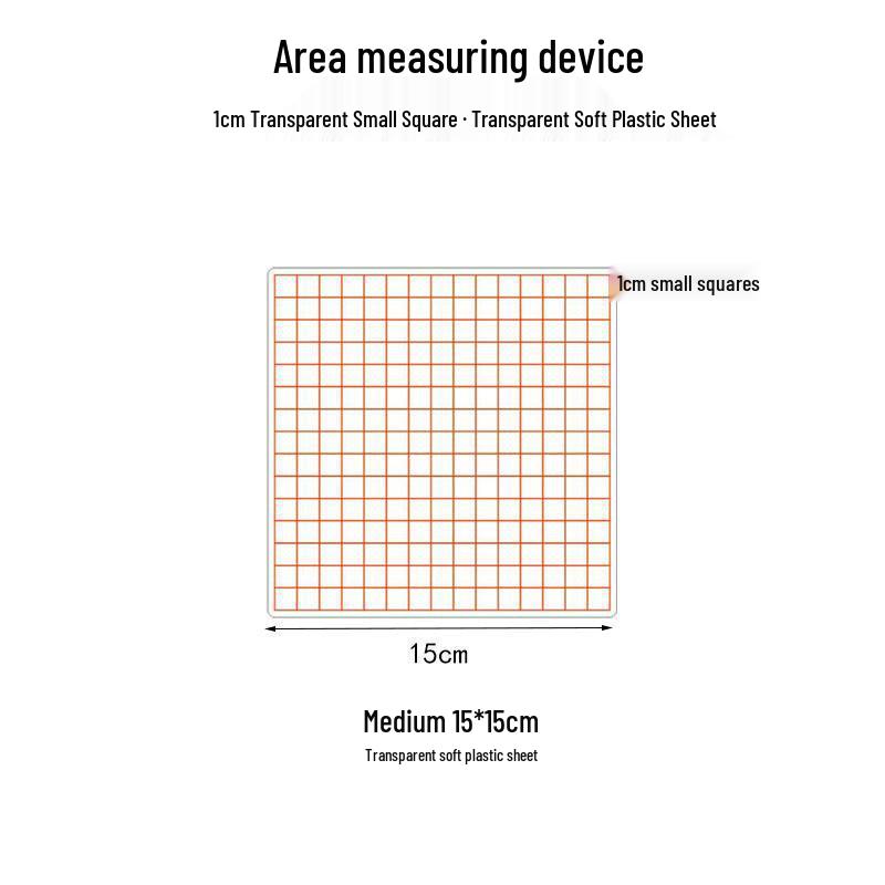 Transparent 1cm Grid Paper - 100 Squares for Math Teaching