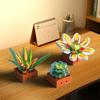 Set de construit 9 plante suculente, 913 piese Colecție botanică de flori Set bonsai plantă artificială Blocuri de construcție Jucărie pentru casă