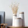 Simple Modern Living Room Home Creative Decoration White Vase Hemp Rope Japanese-style Ceramic Literary and Artistic Vase