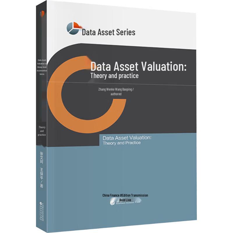 Data Asset Valuation: Theory and Practice