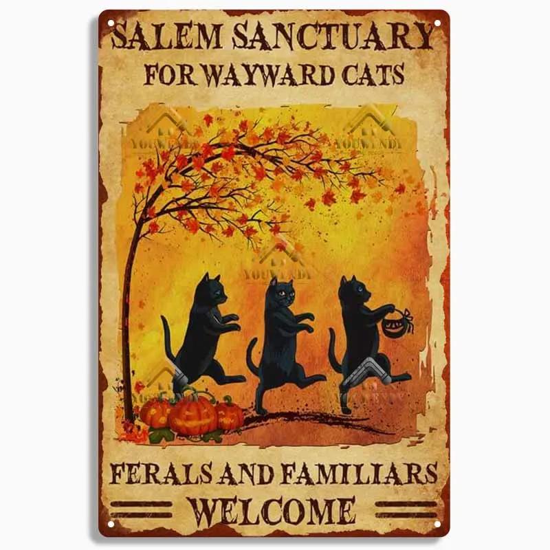 Retro Blechschild Plakette Metall Vintage Lustige Katzenkunst Poster Heimdekoration für Wohnzimmer Haustierbedarf Wanddekoration
