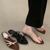 Coarse-heeled silver French pointed-toed strappy sandals fairy shoes 2025 new summer skirt toe Roman shoes