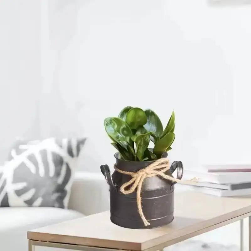 

Creative Milk Pot Floral Art Iron Bucket Vintage Vase Decoration Flower Bucket Dry Flower Bucket Home Decoration Crafts