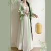 Set Hanfu Stile Dinastia Song per Donne - Manica a Velo Gonna Pieghettata Outfit Cinese Migliorato per il Pendolarismo Quotidiano
