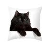 45X45CM Black Cat Pillowcases Polyester Home Cute Kitty Animal Lover Cushion Cover Funny  Decoration Pillow