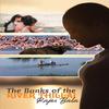 The Banks of the River Thillai by Rajes Bala Paperback Book 9781914913174